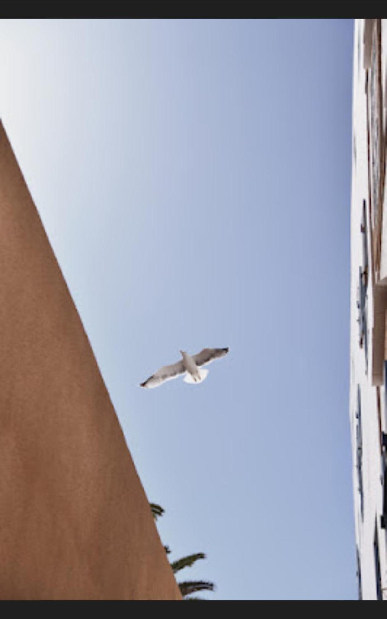 Loft Incroyable En Medina Apartamento Essaouira Exterior foto